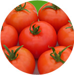 Barther Tomaten