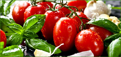 Tomaten-Salat